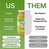 EverSmith Organics - Wildcrafted Irish Sea Moss Gel | Made in USA | Rich in Vitamins & Minerals | Sea Moss Gel Organic Raw | Nutritional Supplement | Lemon Ginger (16 oz)