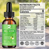 B BEWORTHS Sea Moss Liquid Drops - Organic Irish Sea Moss Gel with Burdock Root, Vitamin C, B12, 3000mg Seamoss Gel Supplement for Immune, Joint & Thyroid, Detox Cleanse & Digestive Support - 2 Fl Oz