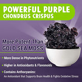 MAJU's Powerful Purple Sea Moss Capsules (60 ct), Extra-Strength Purple Minerals, Chondrus Crispus, Stronger Than Gel, Compare to Organic Irish Seamoss Capsule, Wild Harvested Powder Pills