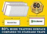 MaxGuard Window Fly Traps (60 XL Traps) Catch & Kill Houseflies, Flying Insects & Bugs. Non-Toxic Sticky Glue Traps Fly Killer Clear Strip Insect Catcher Safe No Zapping with Zapper |