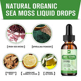 B BEWORTHS Sea Moss Liquid Drops - Organic Irish Sea Moss Gel with Burdock Root Supplement, Seamoss Gel for Immune Support, Joint & Thyroid Support, Detox Cleanse & Digestion Support - 2 Fl Oz, Vegan