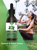 Chlorophyll Liquid Drops - 100% Natural Energy Booster and Immune Support - Internal Deodorant and Detox - Altitude Sickness Relief - Fast Absorption, Vegan & Non-GMO - 120 Servings(100mg)