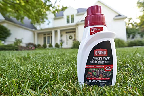 Ortho BugClear Insect Killer for Lawns and Landscapes Concentrate, Kills Ants, Ticks, Mosquitoes, Fleas and Spiders in Your Yard, Starts Killing Within Minutes, Odor Free, 32 oz.