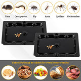 Qualirey 12 Pack Mouse and Insect Glue Traps, Strong Sticky Mice Traps Indoor for Home, Pre Scented Rodent Traps with Non Toxic Glue for House Garage, Ready to Use, Safe to Children and Pets (Black)