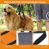 Avont Dog Lift Harness - Upgraded Dog Sling for Large Dogs Hind Leg Support, Lifting Aid with Handle and Straps for Hip Dysplasia, Canines Lifter Support Harness for Elderly Dogs -Orange (L)