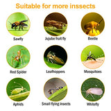 40 Packs Sticky Fly Strips, Fly Paper Roll Hanging, Fly Catcher Fly Tape Fruit Fly Traps Ribbon, Bug Fungus Gnat Mosquito Plant Killer Indoor&Outdoor