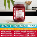 Irish Sea Moss Gel Organic Raw - Wildcrafted Superfood Seamoss Gel - Raspberry Flavor, Vitamin and Mineral-Rich from Pristine Caribbean Waters, Immune and Digestive Health Support - 10 oz.
