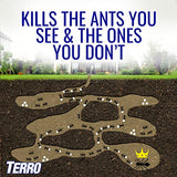 Terro T1812-2 Outdoor Liquid Ant Killer Bait Stakes (2 Pack)