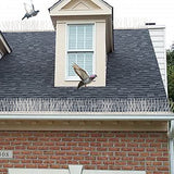 aushucu Bird Spikes Cover 21.6Feet Stainless Steel Pigeons Spikes Small Bird Spike for Roof Fence Window Mailbox(20Feet)