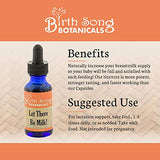 Birth Song Botanicals Let There Be Milk, Organic Lactation Tincture, Herbal Breastfeeding Supplement with Fenugreek and Goat's Rue, New Mom, 2oz Bottle