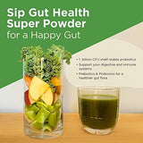 Four Sigmatic Gut Health Super Powder Organic Green Superfood Powder with Probiotics and Prebiotics | Organic Greens Powder Blend | Apple Celery Super Greens Powder Drink Mix (4.94 oz.)