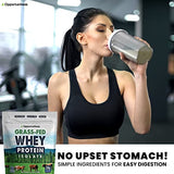 Opportuniteas Grass Fed Whey Protein Powder Isolate - Unflavored - Low Carb Keto & Paleo Diet Friendly - Pure Grass-Fed Protein for Shakes, Smoothies, Drinks & Recipes- Non GMO & Gluten Free - 5 lb