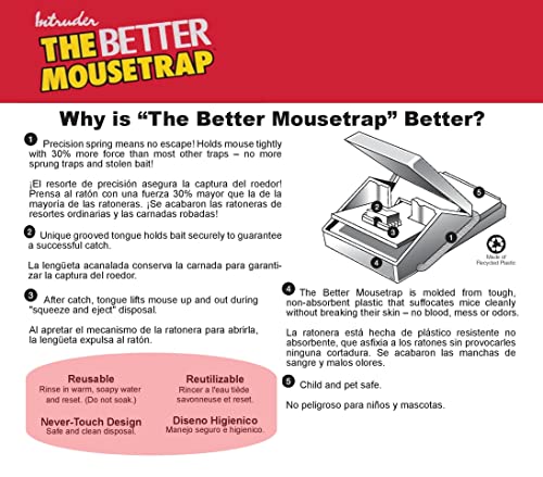 24 Pack Intruder 16000 Better Mouse Trap – kate-minimalist