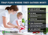 MaxGuard Window Fly Traps (60 XL Traps) Catch & Kill Houseflies, Flying Insects & Bugs. Non-Toxic Sticky Glue Traps Fly Killer Clear Strip Insect Catcher Safe No Zapping with Zapper |