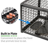 Anyhall 2-Pack Rat Traps Humane Live Mouse Vole Chipmunk Trap Cage for Indoors and Outdoors (Black)