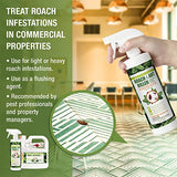 EcoVenger by EcoRaider Roach & Ant Killer, Kills on Contact,Kills Ants & Other Indoor&Outdoor Crawling Insects, Natural & Non-Toxic, Pleasant Botanical Scent, Safe for Children & Pets 64oz