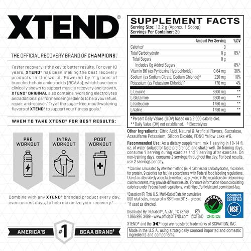 XTEND Original BCAA Powder Orange Cream | Sugar Free Post Workout Muscle Recovery Drink with Amino Acids | 7g BCAAs for Men & Women | 30 Servings