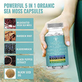 Organic Sea Moss Capsules - Irish Sea Moss 35,000mg & Black Seed Oil 10,500mg & Burdock Root 3500mg & Bladderwrack 3500mg - for Support Immune System, Gut, Skin, Energy (120 Vegan Capsules)