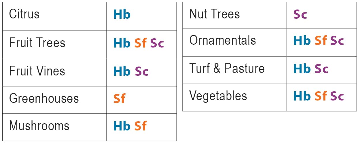 NaturesGoodGuys Beneficial Nematodes Triple Blend Pack HB+SC+SF - General Biological Pest Control (500 Million)