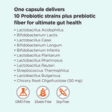Omax Prebiotic & Probiotic 50 Billion CFU + Chicory Inulin, 10 Strains, Reduce Bloating, Digestion, SIBO, Leaky Gut, Vaginal pH, Acidophilus, Vegan, Dairy Free, Gluten Free, Blister Packaged
