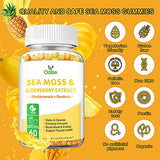 Organic Sea Moss Gummies for Adults and Kids, 2000mg Raw Seamoss, Bladderwrack, Burdock Root, Elderberry, Pepper, Vitamin C & D3, Zinc Supports Immune System & Boost Energy (1-Pack)