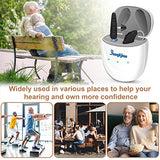 Banglijian Hearing Aids Rechargeable RIC Hearing Aids for Seniors Adults, 12 Channels Hearing Aid with Magnetic Contact Charging Box Digital Noise Cancelling and Feedback Cancellation (Pair, Black)