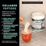 Gorilla Mind Collagen Peptides Powder - Joint & Bone Health/Great for Hair, Skin & Nails/Sleep Support/Types I, II, III/Mix in Water, Juice or a Smoothie - 441g (Piña Colada)