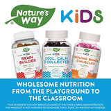 Nature's Way Kids Cool, Calm & Collected Gummies for Ages 8 and Over, Grape Flavored, 40 Gummies
