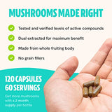 FreshCap Ultimate Mushroom Complex - Lions Mane Brain Supplements (120 Capsules)