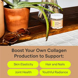Rae Wellness Vegan Collagen Boost - Collagen Production + Glowing Skin Supplement with Vitamin C & Bamboo Extract - Plant Based Skin Support - 60 Capsules (30 Day Supply)