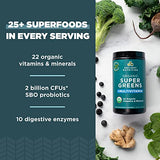 Ancient Nutrition Organic SuperGreens and Multivitamin Powder with Probiotics, Made from Real Fruits, Vegetables and Herbs, for Digestive, Detoxification and Energy Support, 25 Servings