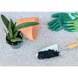 Horticultural Charcoal for Indoor Plants (8 Quarts), Hardwood Soil Additive for Orchids, Terrariums, and Gardening