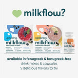 UpSpring Milkflow + Energy Breastfeeding Supplement Drink Mix with Fenugreek | Chocolate Flavor | Lactation Supplement to Support Breast Milk Supply & B Vitamins* | 16 Drink Mixes