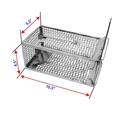 Chipmunk, Squirrel Trap Cages, Rat Trap That Works 2 Pack, Humane Mouse Trap for Home | Catch and Release | Reusable and Durable | No Kill Animal Trap | for Inside Home and Outdoor Use