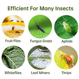 96 Pack Yellow Sticky Traps Fungus Gnat Traps for Indoor and Outdoor Plants, Plant Sticky Gnats Killer House Indoor, Fruit Fly Killer for Indoors Flying Insects Bug Catcher