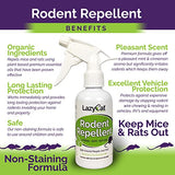 Peppermint Oil Spray for Rodents Plus Cinnamon Oil - MAX Power Mouse Repellent for Home RV Campers Boats Car Engines – Repel Mice and Rats from House Non-Staining 2X Strength (2 Pack) by Lazy Cat