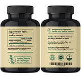 Rhodiola Rosea 600 mg - 120 Vegan Capsules - Ultra Potent Rhodiola Supplement for Natural Stress Support and Mood Boost - Rhodiola Rosea Extract (3% Salidroside & 1% Rosavins) - Powerful Adaptogen