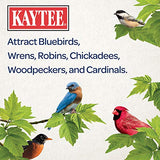 Kaytee Wild Bird Food Mealworms For Bluebirds, Wrens, Robins, Chickadees, Woodpeckers, Cardinals & Chickens, 2 Pound