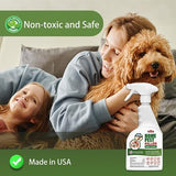 Bug Spray, Liquid with Odorless Bug Killer, Fast and Sure Insect Killer with Extened Residual Protection, Natural & Non-Toxic Roach Spray, Child & Pet Friendly Ant Killer - 22oz