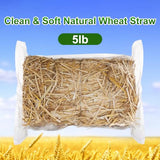 Natural Wheat Straw - 5 LB Dry Straw, Clean and Soft Decorative Straw Bale for Stray Cats Dogs Yard Farm Pets Garden Mulch Grass Cover