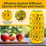 Jahy2Tech 2 PCS Wasp Trap,Carpenter Bee Trap,Wasp Traps Outdoor Hanging,Yellow Jacket Trap Wasp Killer Catcher,Wasp Deterrent Outdoor Sticky Bug Board Reusable Bee Catcher Wasp Repellent