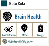 Organic India Gotu Kola Herbal Supplement - Adaptogen for Brain & Nervous System Support, Vegan, Gluten-Free, Kosher, USDA Certified Organic, Non-GMO, Calming, Mental Clarity - 90 Capsules