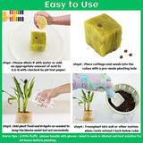 Legigo 1.2" Rockwool Grow Cubes Starter Plugs- Rockwool Stonewool Planting Cubes for Seed Starter Soilless Cultivation Hydroponics, Cuttings, Soilless Culture Plant Propagation(6 Sheet,216plugs Total)