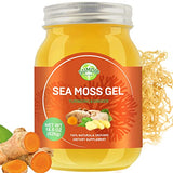 Sea Moss Gel, Organic Raw Flavored Irish Seamoss Gel Immune and Digestive Support Vitamin Mineral Antioxidant Supplements, Turmeric, Ginger 18.5oz