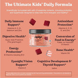 CHEWSY Kids’ Multivitamin, Delicious Candy-Style Daily Vitamin Chews + Probiotics + Superfoods, Wild Berry Flavor Chewable Fruity Supplement Chews, Individually Wrapped, Easy to Enjoy, 30-Day Supply