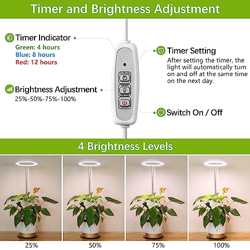 LORDEM Grow Light, LED Plant Light for Indoor Plants Growing, Full Spectrum Desk Growth Lamp with Automatic Timer for 4H/8H/12H, 4 Dimmable Levels, Height Adjustable 9.8"-30.6", Pack of 2