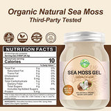 Seamoss Gel, 18.5OZ Organic Raw Wildcrafted Irish Seamoss Gel Immune and Digestive Support Vitamin Mineral Antioxidant Supplements, Coconut