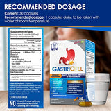 LABO Nutrition GASTRICELL - Eliminate H. Pylori, Relieve Acid Reflux & Heartburn, Regulate Gastric Acid, Natural Treatment, Target The Root Cause of Recurring Gastric Problems, Probiotic