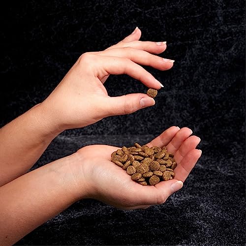 CRAVE Grain Free Indoor Adult High Protein Natural Dry Cat Food with P