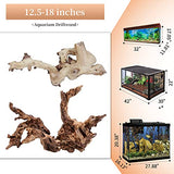 majoywoo Natural Large Driftwood for Aquarium Decor Reptile Decor, Fewer Branches 12.5-18" 2Pcs